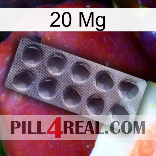 20 Mg 30.jpg